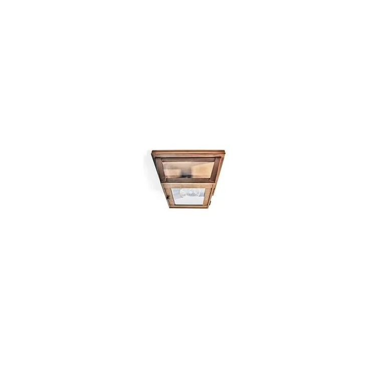 Williams Single-Light Outdoor Flush Mount Ceiling Fixture