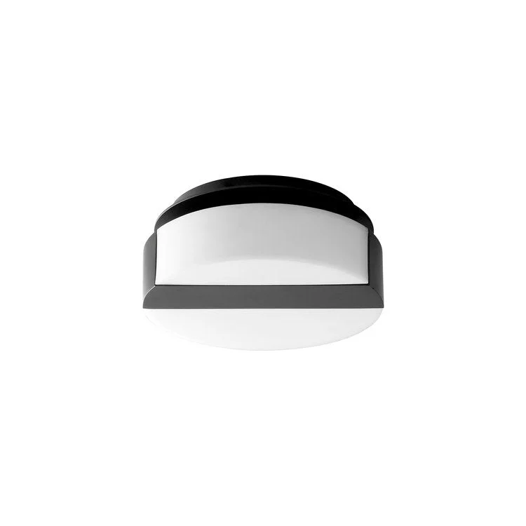 Aurora Single-Light 6" Wall Sconce - Black