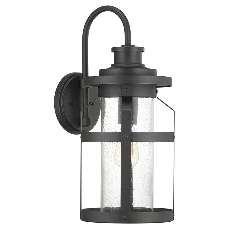 Haslett Single-Light Outdoor Large Wall Lantern