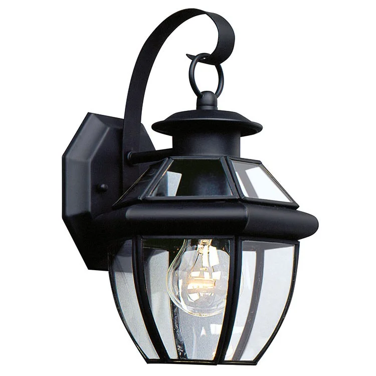 Lancaster Single-Light Outdoor Wall Lantern