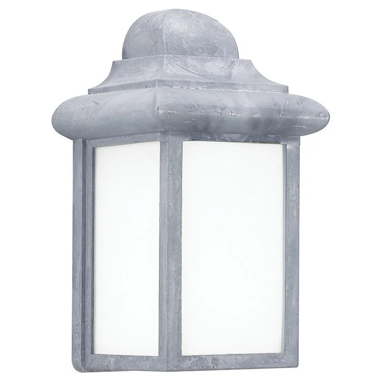 Mullberry Hill Single-Light Outdoor Wall Lantern