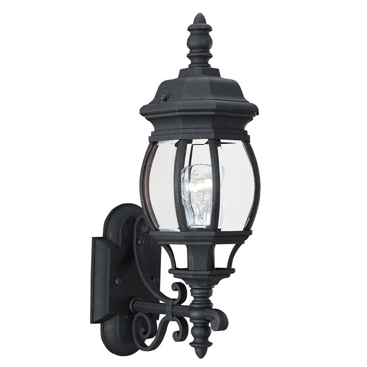 Wynfield Single-Light Medium Outdoor Wall Lantern